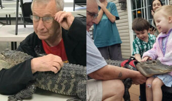 「エモーショナルサポートアニマル」にワニを採用！心を癒してくれるワニが話題に！