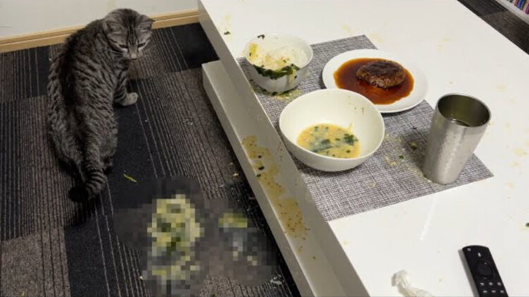 夕食中に大惨事が！原因となった猫は悪いことをした自覚がある様子。怒られると思って全力で逃げる様子もカワイイ