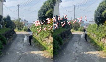 最高に楽しそう!飼い主が跳ぶと愛犬もジャンプ!超カワイイ動画にいいね25万以上!!