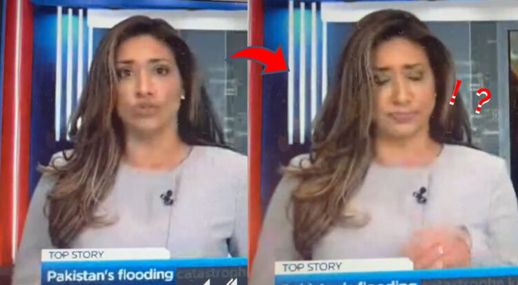 流石のプロ根性！生放送中にハエを飲み込んでしまったけどニュースを読み続けたキャスターが世界で話題に！