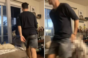 「いい加減にして！」遊びに行くのかと思えば、フェイントを仕掛けてくる男性にハスキー犬もお怒り！痛いお仕置きで注意します【アメリカ・動画】