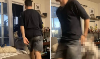 「いい加減にして！」遊びに行くのかと思えば、フェイントを仕掛けてくる男性にハスキー犬もお怒り！痛いお仕置きで注意します【アメリカ・動画】