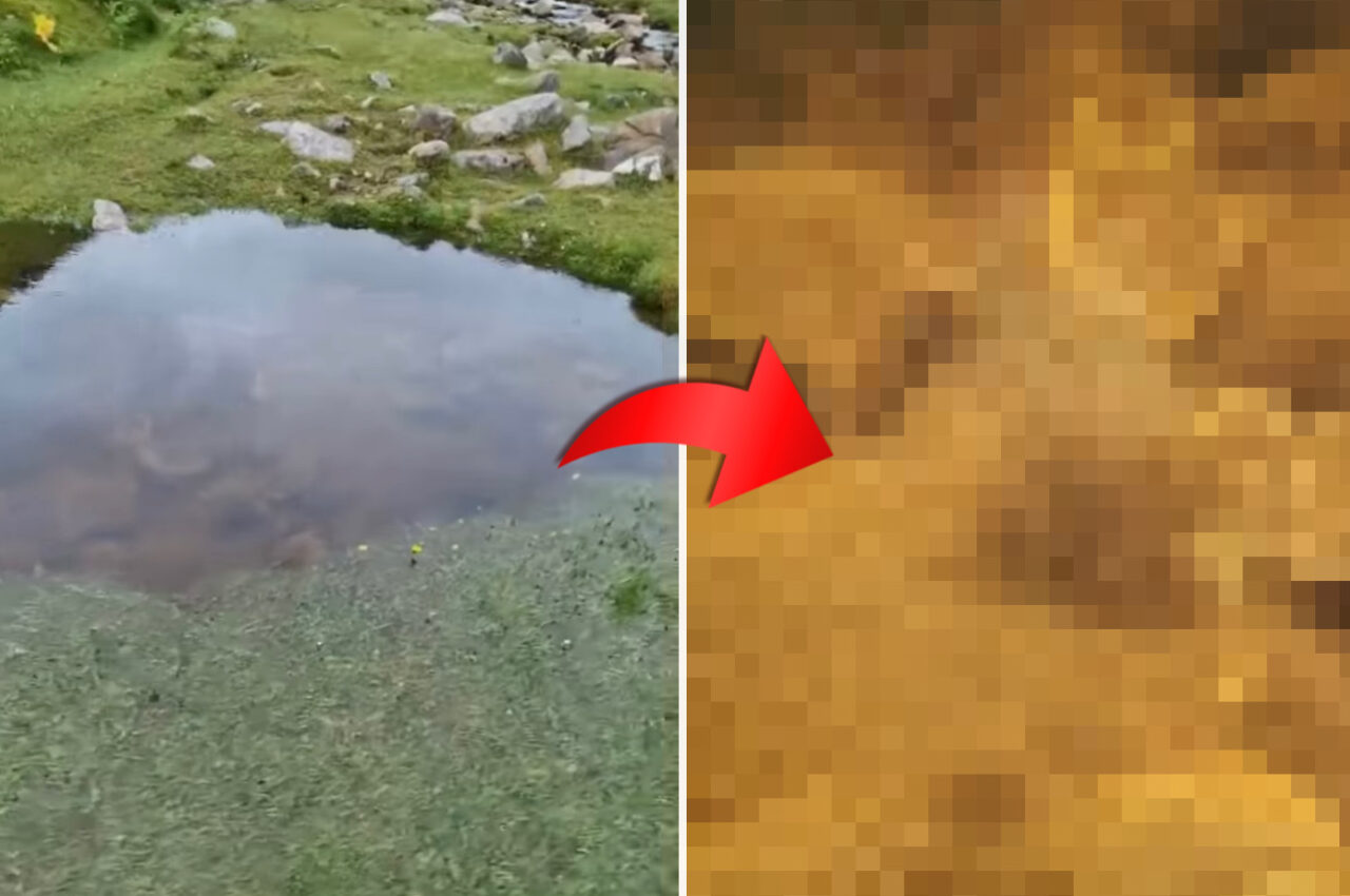 ハイキング中に奇妙な水流を発見した男性。そこで水中を覗いてみると・・、地球の神秘を知ることに!!【海外・動画】