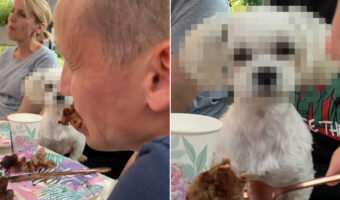 美味しそうにお肉を頬張る男性。そんな男性のことをもの言いたげな顔で見つめている子がいます！【海外・動画】