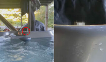 なんだか視線を感じる・・。ジェットバスでリラックス中に気配を感じた女性。その正体はなんと・・『あの生き物』でした!【アメリカ・動画】