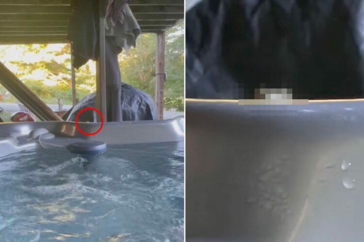 なんだか視線を感じる・・。ジェットバスでリラックス中に気配を感じた女性。その正体はなんと・・『あの生き物』でした！【アメリカ・動画】