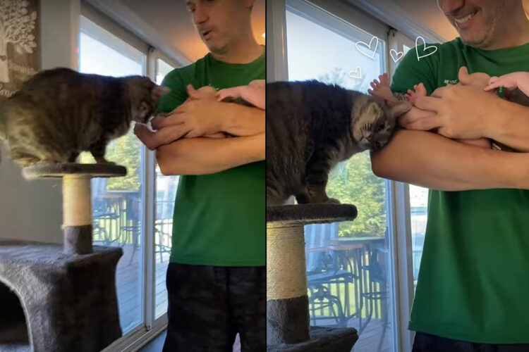 愛猫は赤ちゃんのことが大好き！今日はパパさんがだっこする赤ちゃんのちっちゃな足に頭をスリスリ擦り付けています【アメリカ・動画】