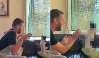 飼い主さんの友人が始めた「手遊び歌」に付き合ってあげる猫。その動きと掛け合いは、普段から練習してるの?と思ってしまいます!【海外・動画】