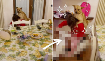 小さな女の子が愛犬とスクーターでふたり乗り！！オモチャのスクーターでお家の中をドライブする二人の姿にほっこり【海外・動画】