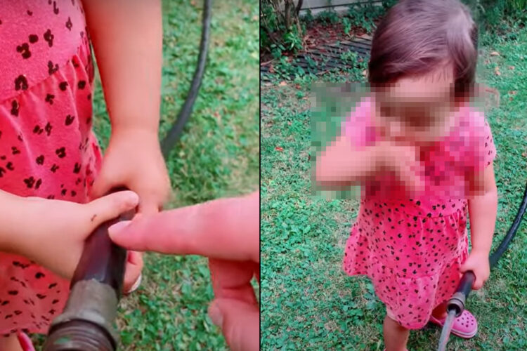 ホースで水撒きのお手伝いをしていた女の子。手にアリが付いているよと言われ、どうしようかと考えた結果の行動にビックリ！！【海外・動画】