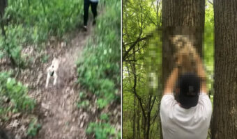 飼い主さんとジョギングする猫。元気いっぱいに走り回って勢い余ったのか、驚きの行動に!!【海外・動画】