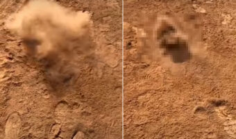 土遊びが大好きな犬は、今日もお散歩で大暴れ！まるで砂嵐の大元になったように土埃をあげて転げ回っています！！【海外・動画】