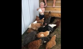 ニワトリにエサやりをする小さな男の子。最初は丁寧に撒いていたのですが・・、最後に取った行動がダイナミック！！【海外・動画】
