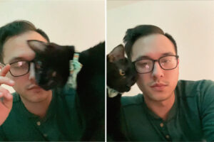 かまってもらいたいのか、仕事帰りのパパさんの前をぶつかるようにして何度も通っていく猫。その結果、パパさんの眼鏡が・・！【アメリカ・動画】