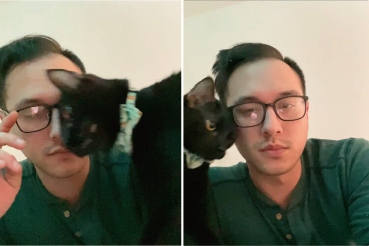 かまってもらいたいのか、仕事帰りのパパさんの前をぶつかるようにして何度も通っていく猫。その結果、パパさんの眼鏡が・・！【アメリカ・動画】