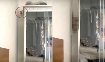 まるでカメラを90度傾けているみたい。猫がキャビネットからジャンプしておりてくるのかと思ったら・・、その動きにビックリ！！【海外・動画】