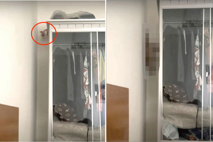 まるでカメラを90度傾けているみたい。猫がキャビネットからジャンプしておりてくるのかと思ったら・・、その動きにビックリ！！【海外・動画】