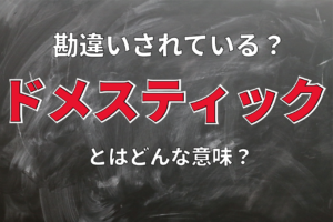 ドメスティック・バイオレンスの「ドメスティック」の意味とは？勘違いされやすい言葉の真の意味