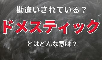 ドメスティック・バイオレンスの「ドメスティック」の意味とは?勘違いされやすい言葉の真の意味
