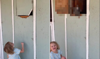 「なにかご用ですか?」木の扉をトントントンと叩く小さな女の子。すると、姿を見せたのは・・!!【アメリカ・動画】