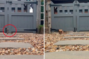 せっかちな愛犬が外から帰って来ると・・。門が開くのが待っていられなかったようで、『驚きの行動』に出て帰宅してみせました！！【海外・動画】