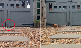 せっかちな愛犬が外から帰って来ると・・。門が開くのが待っていられなかったようで、『驚きの行動』に出て帰宅してみせました!!【海外・動画】