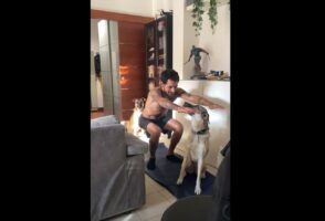 愛犬たちもトレーニングがしたい？飼い主さんの動きが気になってすぐそばまで来るため、トレーニングが捗りません！！【海外・動画】