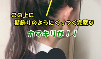 カマキリ系JK爆誕!「あんた、それ髪飾り?」学校から帰ってきて母に言われて何かなと思って鏡を見たら、まさかのカマキリ!