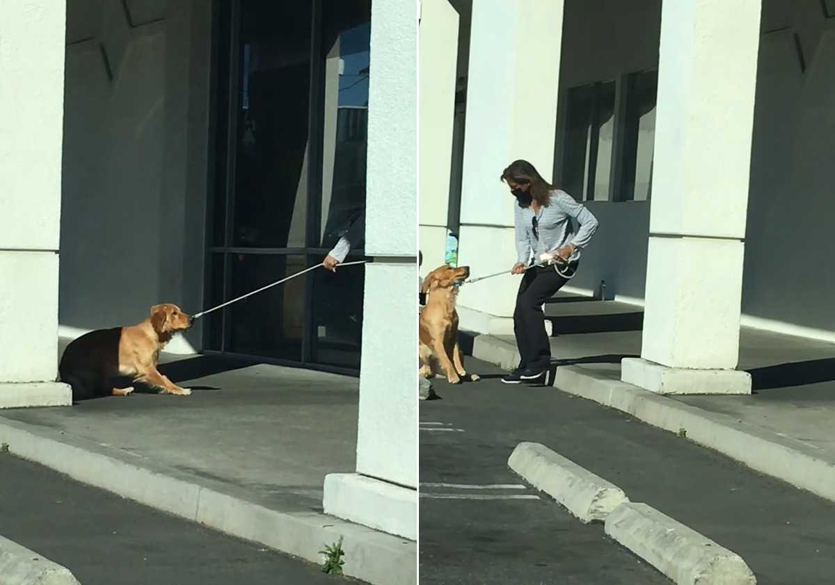 病院に行くのを頑なに拒む犬。踏ん張ったり飼い主さんも引きずるようにしてバックしてみせますが・・・