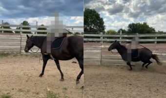 背中に人を乗せる訓練をする馬。ですが、その背中に乗せられているモノがモノだったので・・なんだかホラー!!【アメリカ・動画】