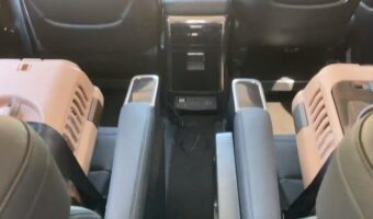 猫が「ヤバ～い」って鳴くなんて、そんなわけ・・・あった！これは確実に言ってる！ 初めての予防注射に行く車内でのひとコマが話題に！