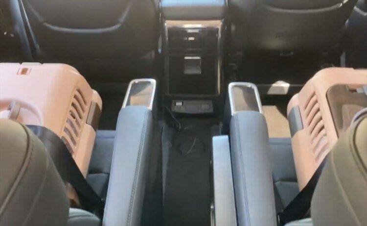 猫が「ヤバ～い」って鳴くなんて、そんなわけ・・・あった！これは確実に言ってる！ 初めての予防注射に行く車内でのひとコマが話題に！