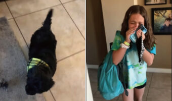 サプライズで子犬が『家族』としてお迎えされたことを知り感涙する女の子。そのリアクションはまさにプライスレスでした!!【アメリカ・動画】