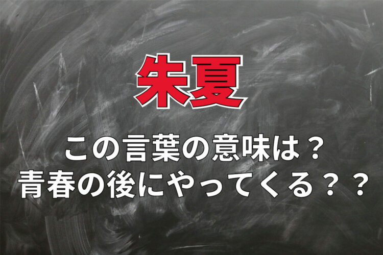青春の後に来る「朱夏」とはどんな意味？実は青春の期間は長いもの？？