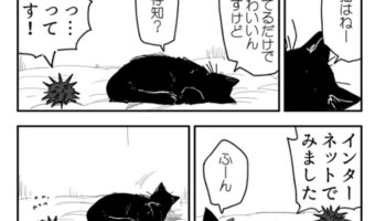 「猫 VS ウニ」ってどういうこと!?気鋭のウニ漫画がクセになる!