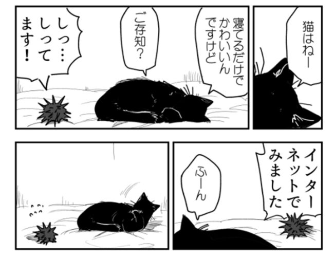 「猫 VS ウニ」ってどういうこと！？気鋭のウニ漫画がクセになる！