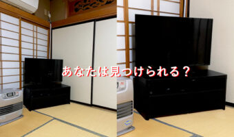 テレビとネコチャンが同化？これ夜なら絶対わからないな。