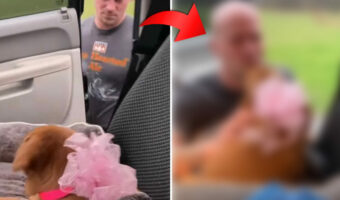 カワイイは正義!サプライズでお迎えした子犬にさっそくメロメロになったのは、以前から子犬を家族にしたがっていた・・【アメリカ・動画】