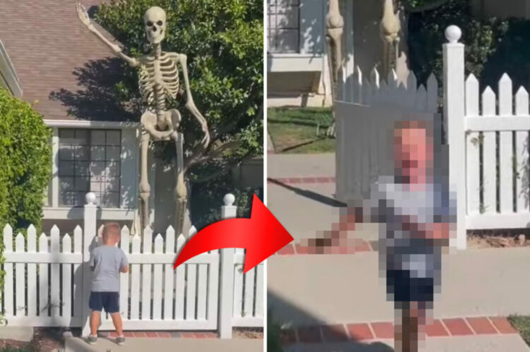 前庭にとんでもなく大きなハロウィンの飾り付けが！ところがおやつが食べたくて走る男の子の目には入ってこなかったらしく・・【アメリカ・動画】