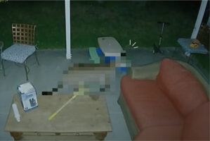 深夜の裏庭に姿をあらわしたのは、鉢合わせたらパニックを起こしそうな「ある動物」でした！しかも、やってくるのは夜だけではなく昼間にも！