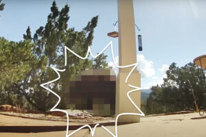 庭の水場は野生動物たちの憩いの場！キツネやコヨーテにボブキャット、鹿の群れがやって来ることもあるし、なんと巨体な「あの動物」まで！！