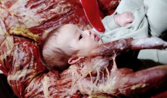 保育園のハロウィンイベントの親の仮装がガチすぎて出禁レベルだと話題に！「怖すぎやろ！よく泣かんなこの子は」