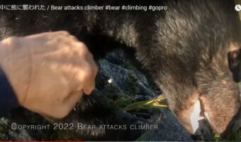 【九死に一生を得た映像 】登山中にクマの襲撃!咄嗟に反撃してクマを見事に撃退した動画が世界で話題に!!