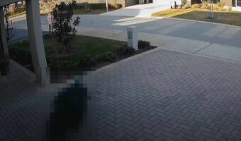 なんでこんなところにいるの!?自宅の前をうろうろしているのは・・、まさかの「あの鳥」でした!!【海外・動画】