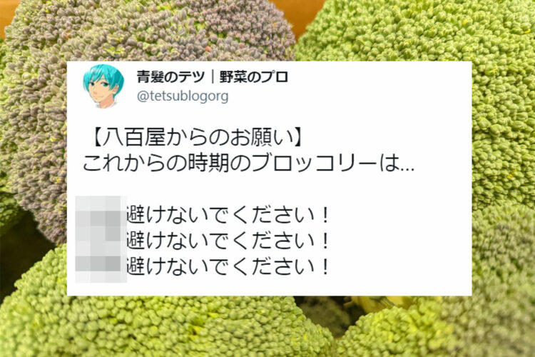 【野菜ライフハック】知らなかった！ブロッコリーの選び方。旬を迎えるこれからの時期に役立つこと間違いなし！