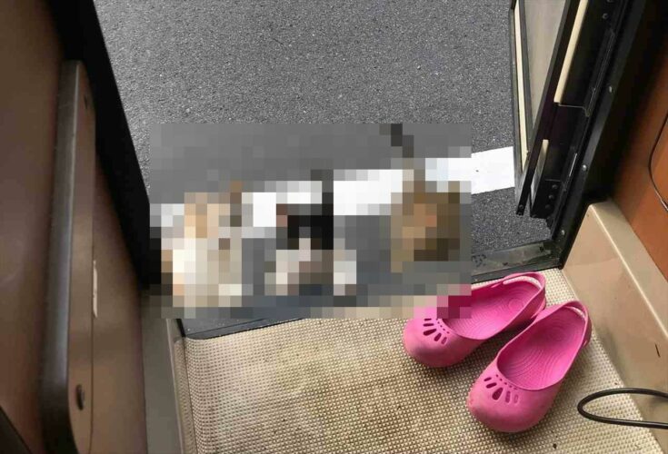 「おい！ショバ代よこせや！」キャンピングカーでの一人旅中に可愛らしい"猫軍団"に急襲された！「キャンピングカーの旅で一番焦った」