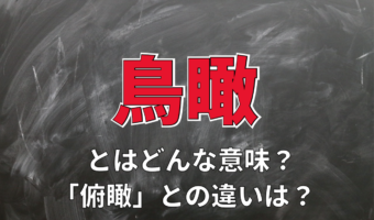 「鳥瞰」とはどんな意味?「俯瞰」との違いは?