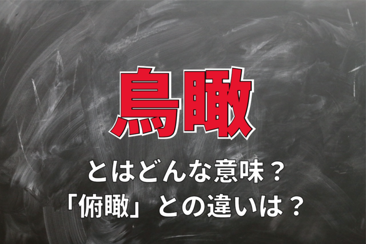 「鳥瞰」とはどんな意味？「俯瞰」との違いは？