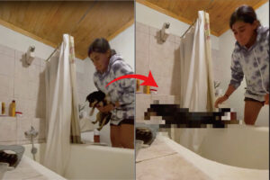 愛犬の入浴タイム。ところがこの子は「絶対にお風呂に入りたくないワン！」という強い意志を行動で示してきました【海外・動画】