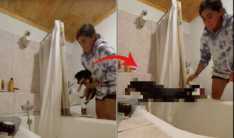 愛犬の入浴タイム。ところがこの子は「絶対にお風呂に入りたくないワン!」という強い意志を行動で示してきました【海外・動画】